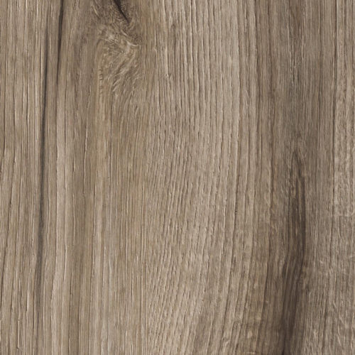 Seno-SA-KAINDL-Oak-Evoke-Fossil-500x500 (1)