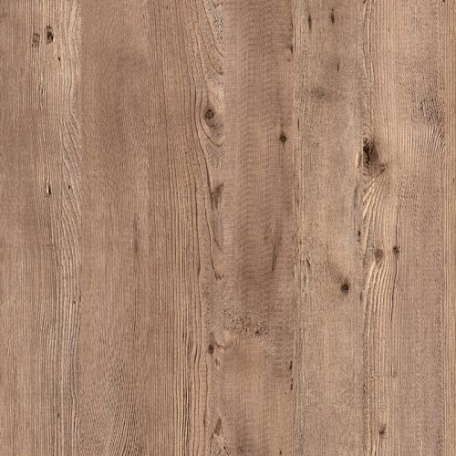 seno-sa-kaindl-hemlock-500x500 (1)